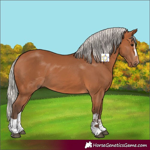 Horse Color:Silver Bay 