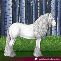 Horse Color:White Spotted Chocolate Palomino Sabino Appaloosa