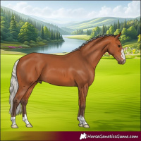 Horse Color:Silver Bay 