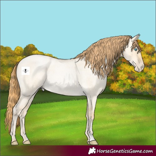 Horse Color:Buckskin Roan Pearl Dun 
