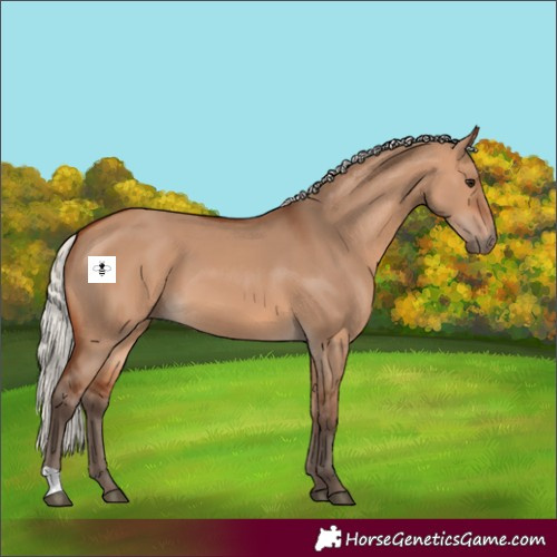 Horse Color:Silver Bay Dun 