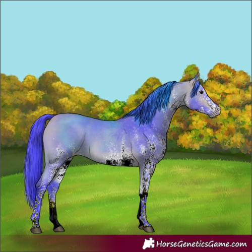 Horse Color:Watercolor White Spotted Buckskin 