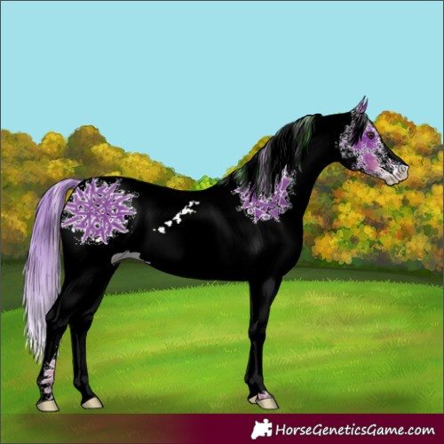 Horse Color:Watercolor White Spotted Chestnut 