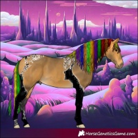 Horse Color:Painted Buckskin Tobiano 