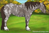 Horse Color:Liver Chestnut Ice Rabicano
