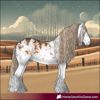 Horse Color:White Spotted Chocolate Palomino 