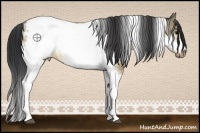 Horse Color:Bay Dun Tobiano Frame