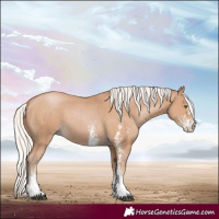 Horse Color:Silver Black Pearl Sabino 