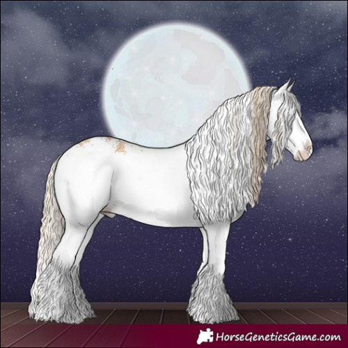 Horse Color:White Spotted Palomino Splash 