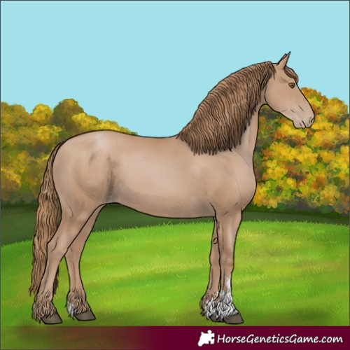 Horse Color:Black Pearl Sabino 