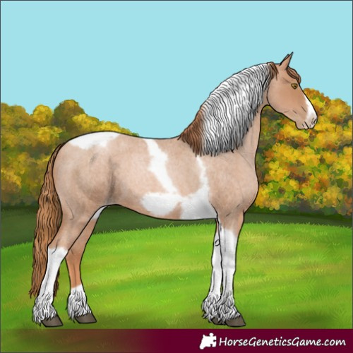 Horse Color:Red Roan Pearl Tobiano Frame 