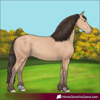Horse Color:Amber Champagne Rabicano
