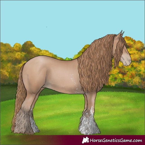 Horse Color:Black Pearl Sabino