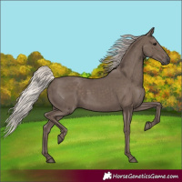 Horse Color:Silver Black 