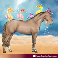 Horse Color:Black Pearl Sabino 