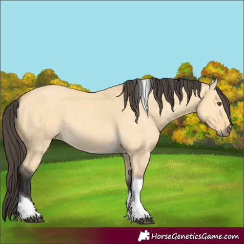Horse Color:Buckskin Dun Tobiano 