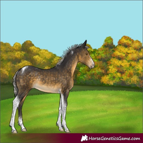 Horse Color:Silver Buckskin Sabino Tobiano Rabicano 