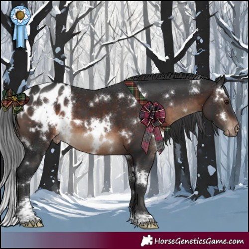 Horse Color:White Spotted Brown Blanket 