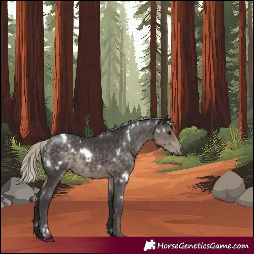Horse Color:White Spotted Silver Smoky Black Rabicano 