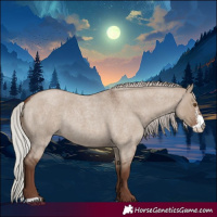 Horse Color:Silver Grullo Roan Sabino Rabicano