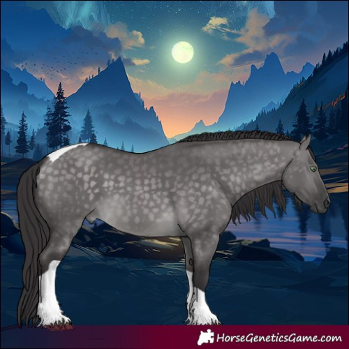 Horse Color:Platinum Buckskin Dun Tobiano Rabicano 