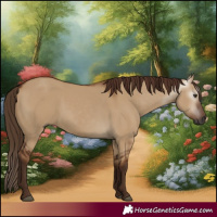 Horse Color:Gray Red Dun 
