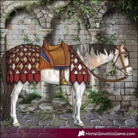 Horse Color:White Spotted Buckskin