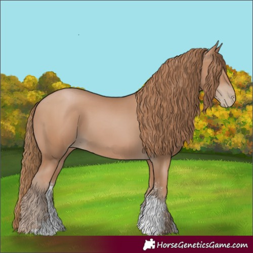 Horse Color:Black Pearl Sabino