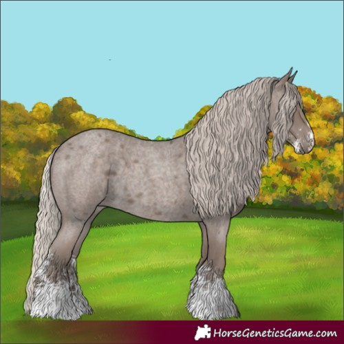 Horse Color:Silver Blue Roan Sabino 