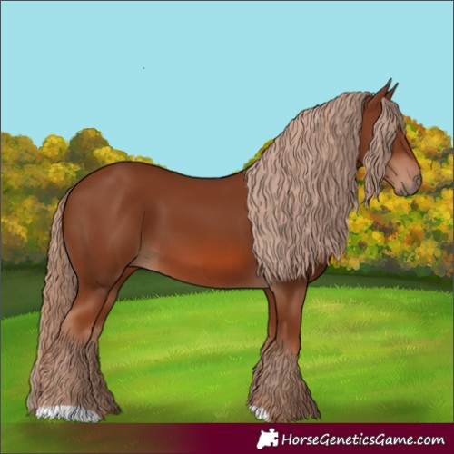 Horse Color:Chestnut 
