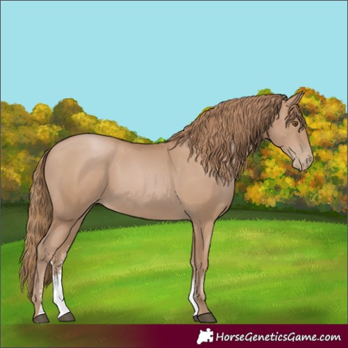 Horse Color:Black Pearl Sabino