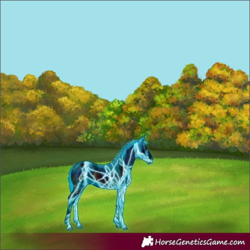 Horse Color:ERROR: UNKNOWN ANOMALY