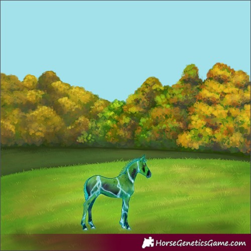 Horse Color:ERROR: UNKNOWN ANOMALY