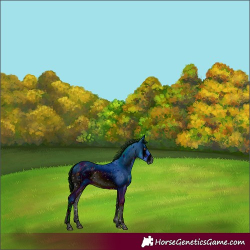 Horse Color:ERROR: UNKNOWN ANOMALY