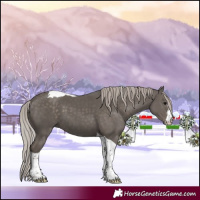 Horse Color:White Spotted Silver Black Tobiano 