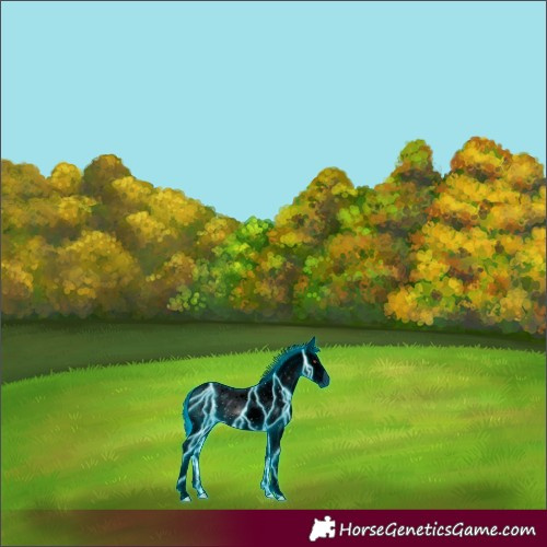 Horse Color:ERROR: UNKNOWN ANOMALY