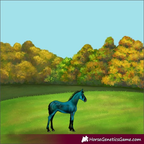 Horse Color:ERROR: UNKNOWN ANOMALY