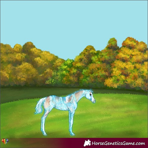 Horse Color:Thunderstruck Chocolate Silver Bay Onyx Sabino 