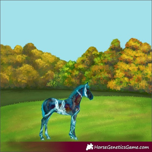 Horse Color:ERROR: UNKNOWN ANOMALY