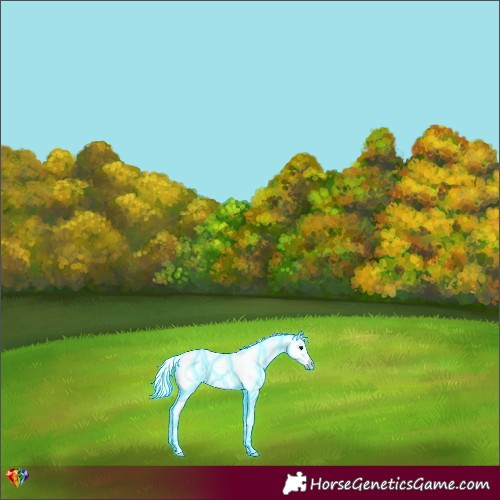 Horse Color:Thunderstruck Watercolor Silver Bay Onyx Sabino 