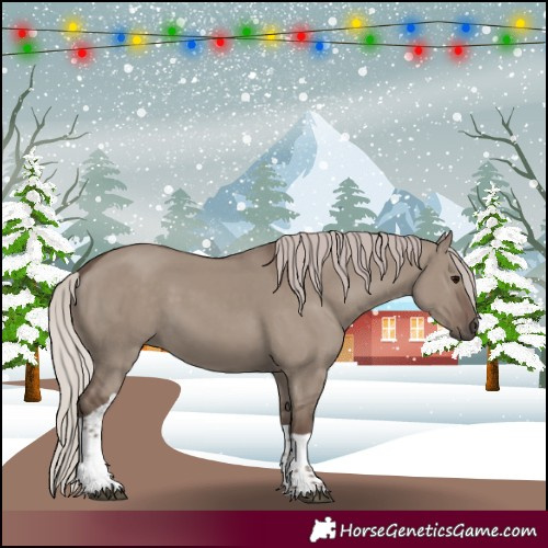 Horse Color:Silver Grullo Tobiano 