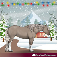 Horse Color:Silver Grullo Tobiano 