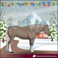 Horse Color:Silver Grullo Tobiano 