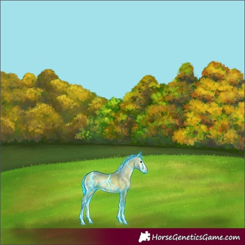 Horse Color:Thunderstruck Watercolor Silver Bay Onyx 
