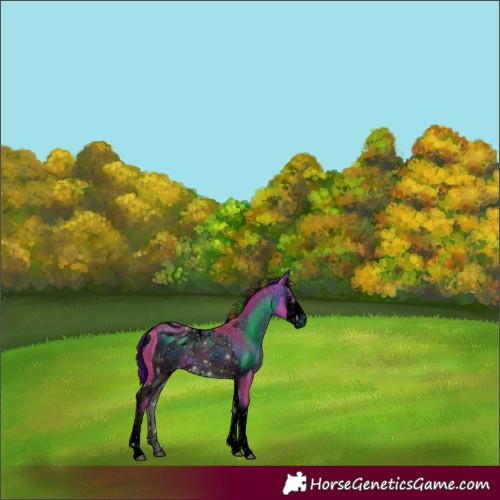 Horse Color:ERROR: UNKNOWN ANOMALY