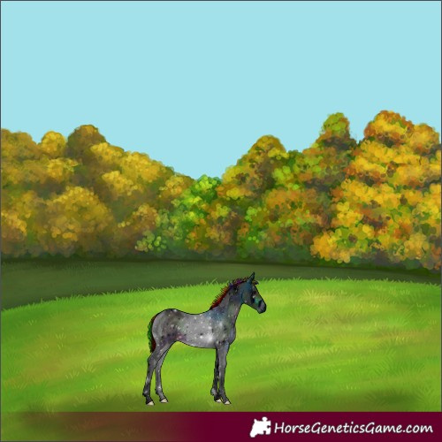 Horse Color:ERROR: UNKNOWN ANOMALY