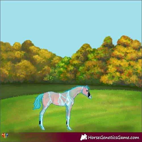 Horse Color:Thunderstruck Watercolor Buckskin Sabino 