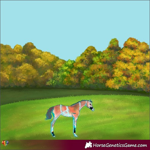 Horse Color:Thunderstruck Chocolate Buckskin Onyx Sabino 