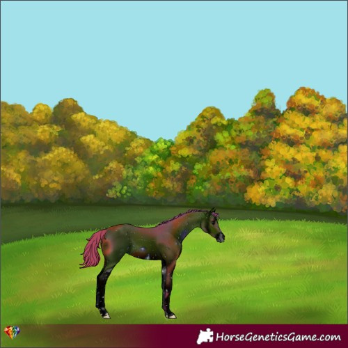 Horse Color:ERROR: UNKNOWN ANOMALY