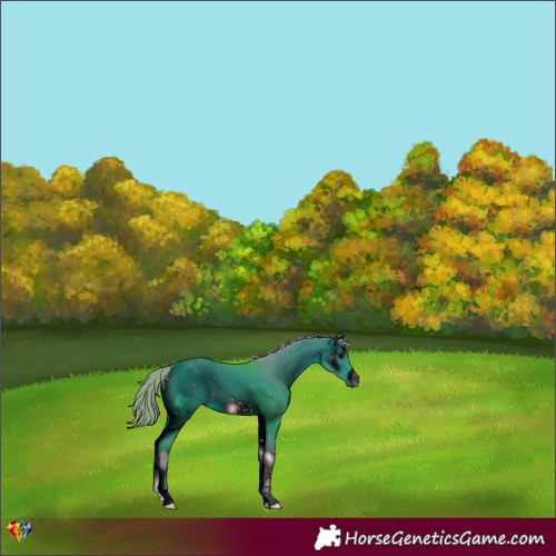 Horse Color:ERROR: UNKNOWN ANOMALY